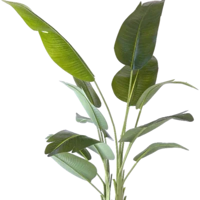 Kunstplant Strelitzia 200 cm real touch