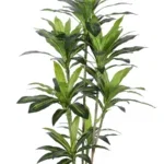 agave-kunstplant-deluxe-150cm