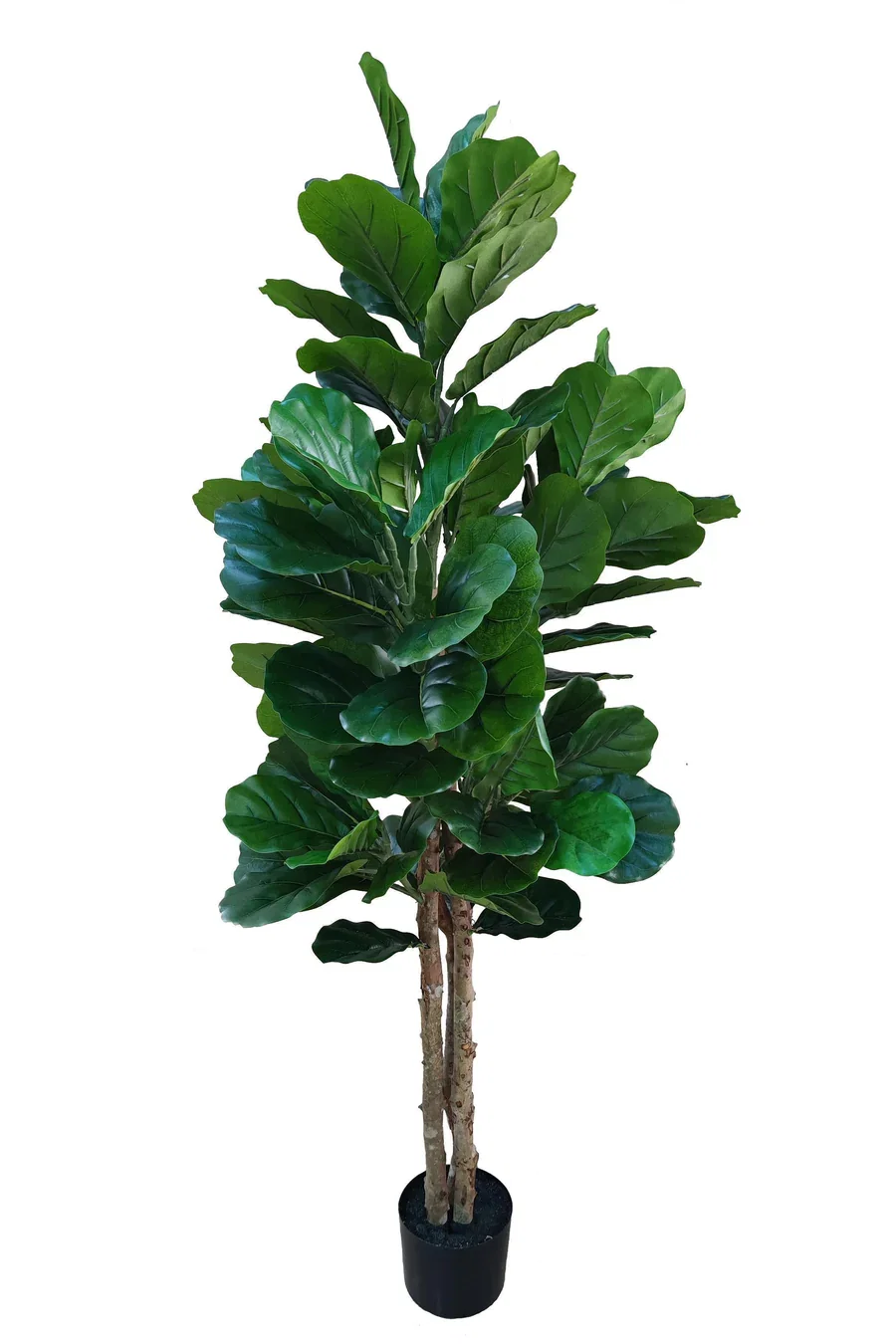 fiddle-leaf-fig-kunstplant-160cm.jpg fiddle-leaf-fig-kunstplant-160cm