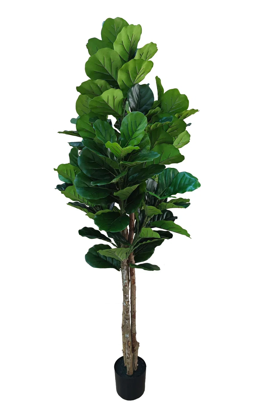 fiddle-leaf-fig-kunstplant-180cm.jpg fiddle-leaf-fig-kunstplant-180cm