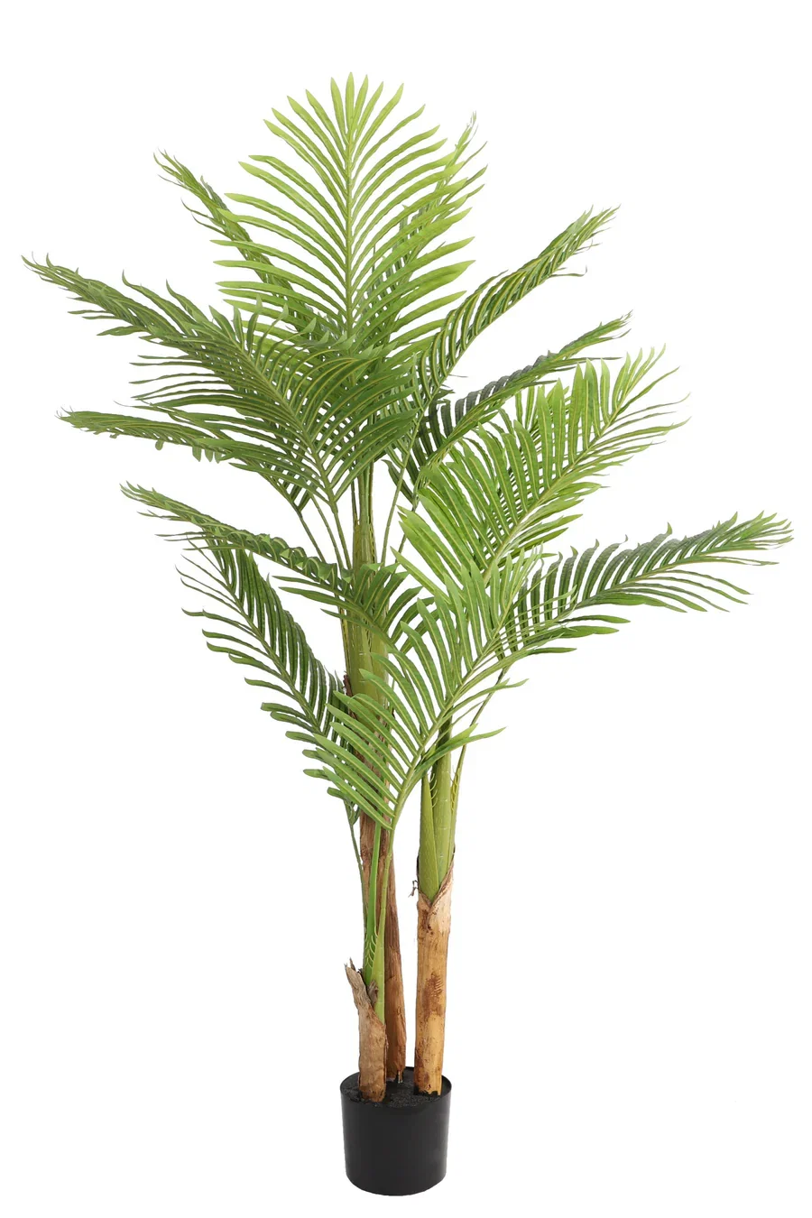 kentia-palm-kunstplant-170-cm-tropisch-design-voor-binnen.jpg kentia-palm-kunstplant-170-cm-tropisch-design-voor-binnen