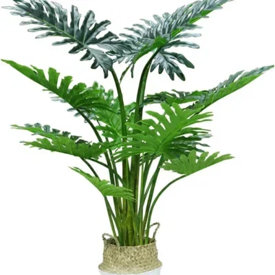 philondendron-140cm