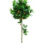 sinaasappel-kunstboom-170cm-mediterrane-uitstraling