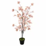 Roze bloesem boom