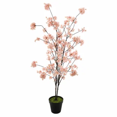 Roze bloesem boom