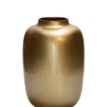 Vaas Artic XS gold