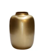 Vaas Artic XS gold