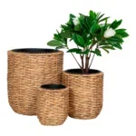 Hanoi Flowerpot - Flowerpot, water hyacinth, natural set of 3 - Afbeelding 2