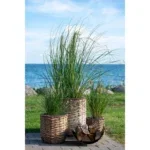 Hanoi Flowerpot - Flowerpot, water hyacinth, natural set of 3 - Afbeelding 3