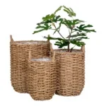 Hue Baskets - Baskets, seagrass, nature set of 3 - Afbeelding 2