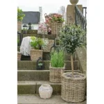 Gili Baskets - Baskets, kubu rattan, natural set of 2 - Afbeelding 5