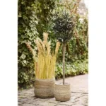Moro Baskets - Baskets, kubu rattan, natural set of 2 - Afbeelding 3