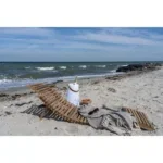 Arrieta Sun Lounger - Sun Lounger, teak, natural - Afbeelding 7