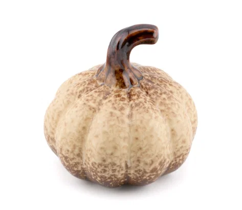 Aardewerk Pompoen Beige 'Spire' | 9,7x9,7x9,8cm.png Aardewerk Pompoen Beige 'Spire' | 9,7x9,7x9,8cm