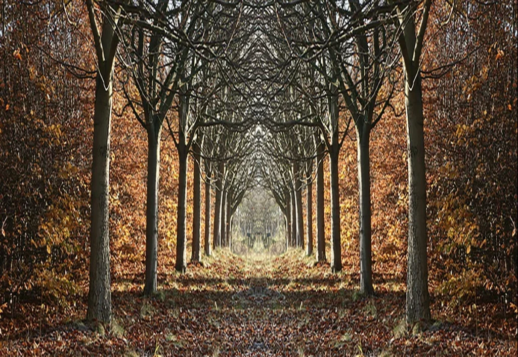 Glasschilderij 160x110cm Bos