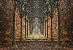 Glasschilderij 160x110cm Bos