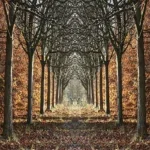 Glasschilderij 160x110cm Bos