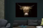 Glasschilderij Kop hooglander